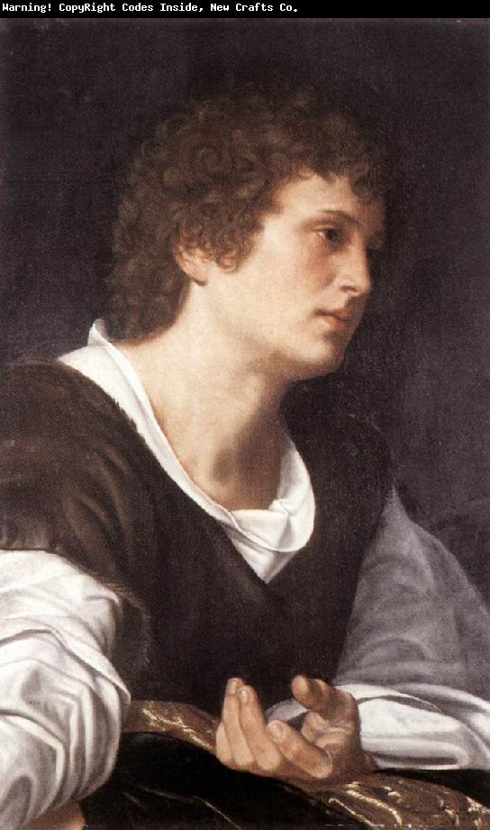 SAVOLDO, Giovanni Girolamo Bust of a Youth sg
